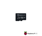 Carte microSD 128 GB Raspberry Pi OS